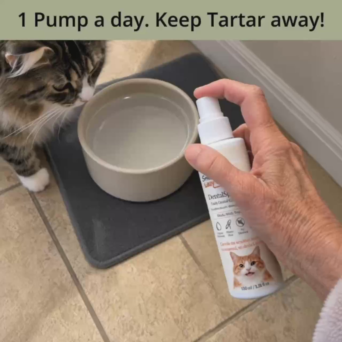 Cat DentalSpray 1.0